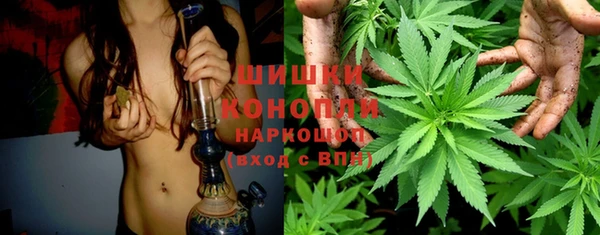 мяу мяу мука Балабаново